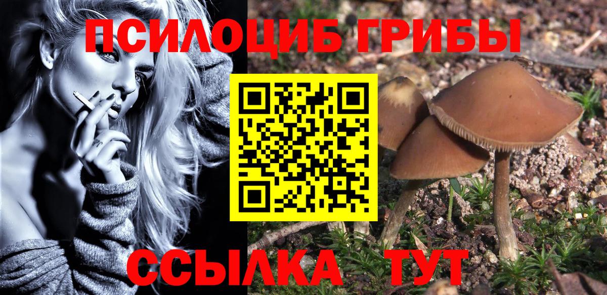 Тельмана  Псилоцибиновые грибы Psilocybine cubensis  Вход с VPN  Псилоцибиновые грибы прущие грибы 