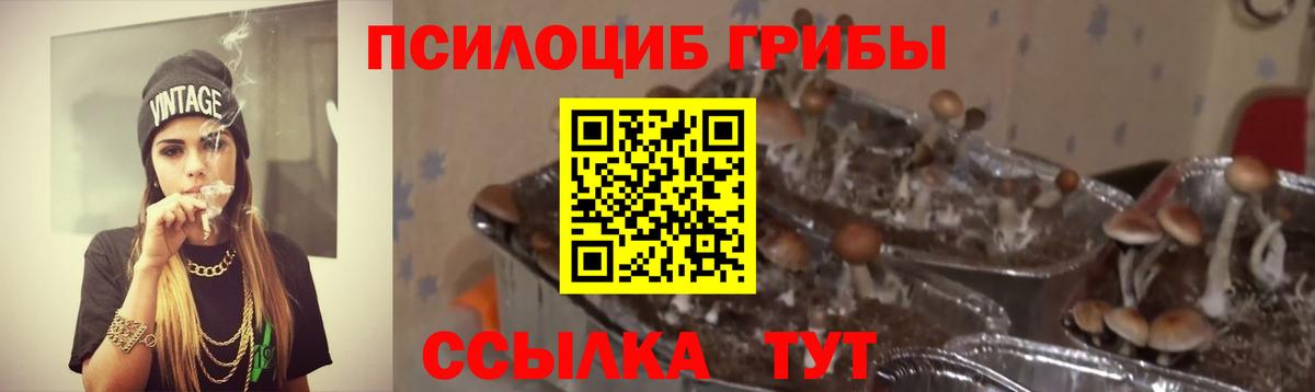 Псилоцибиновые грибы мицелий Тельмана